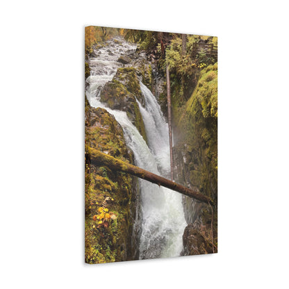 Sol Duc Falls | Wall Art