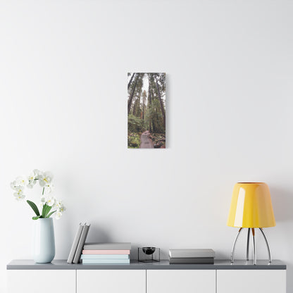 Sol Duc Forest | Wall Art