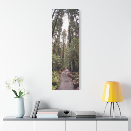 Sol Duc Forest | Wall Art