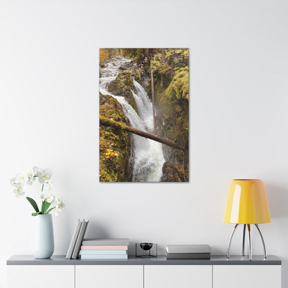 Sol Duc Falls | Wall Art