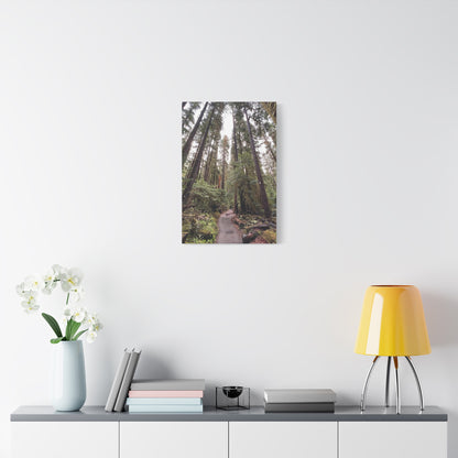 Sol Duc Forest | Wall Art