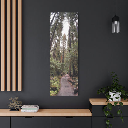 Sol Duc Forest | Wall Art