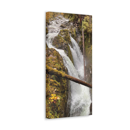 Sol Duc Falls | Wall Art