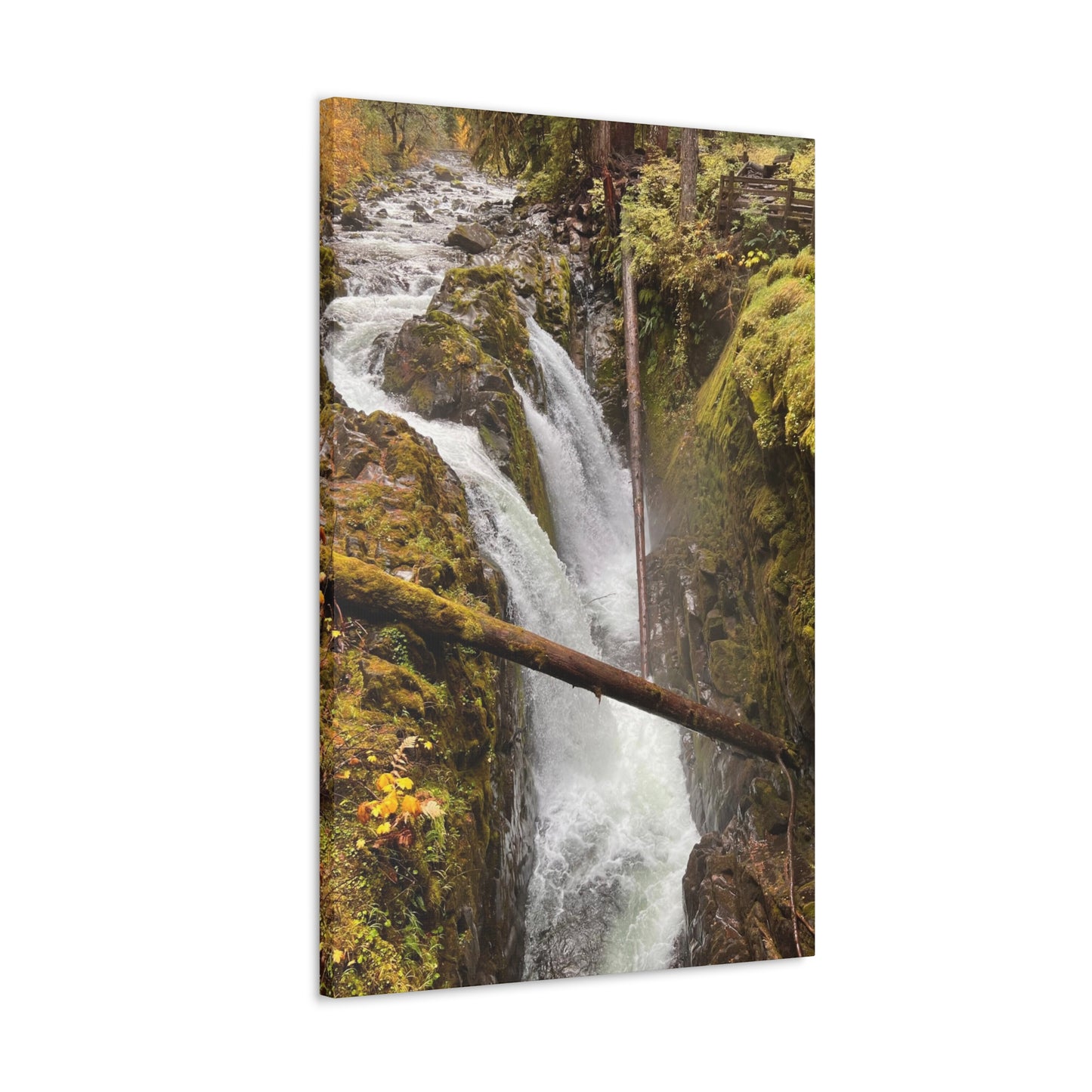 Sol Duc Falls | Wall Art