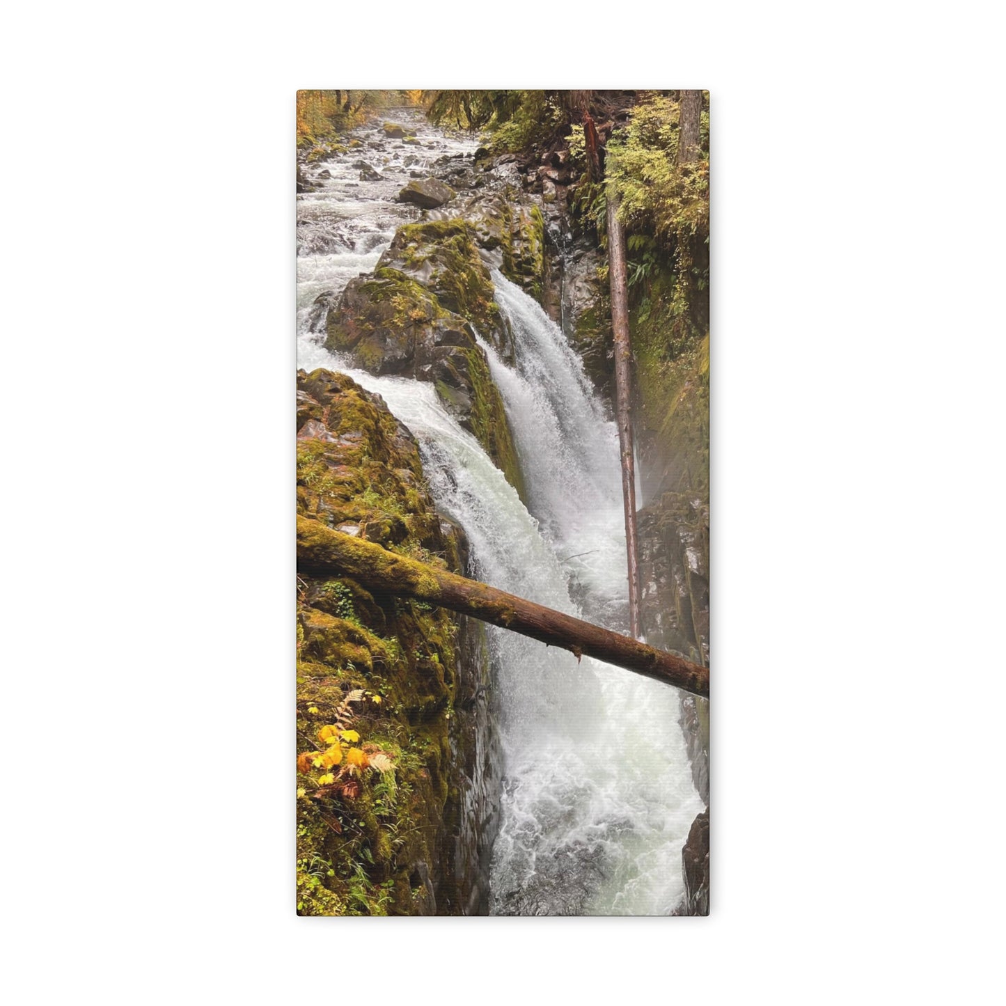 Sol Duc Falls | Wall Art