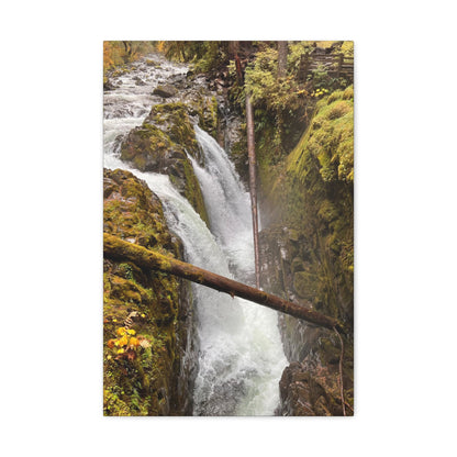 Sol Duc Falls | Wall Art