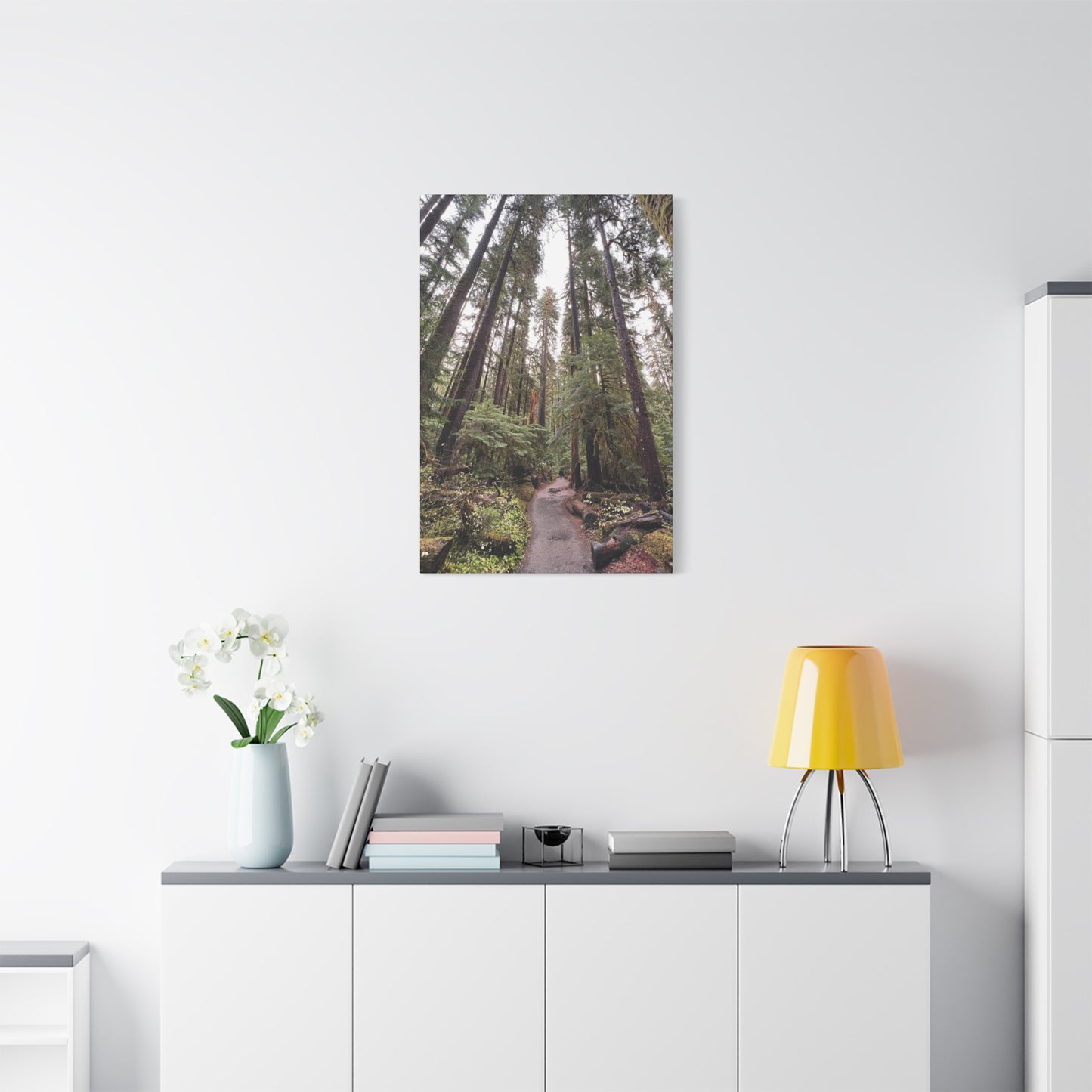 Sol Duc Forest | Wall Art