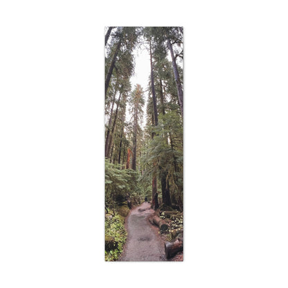 Sol Duc Forest | Wall Art