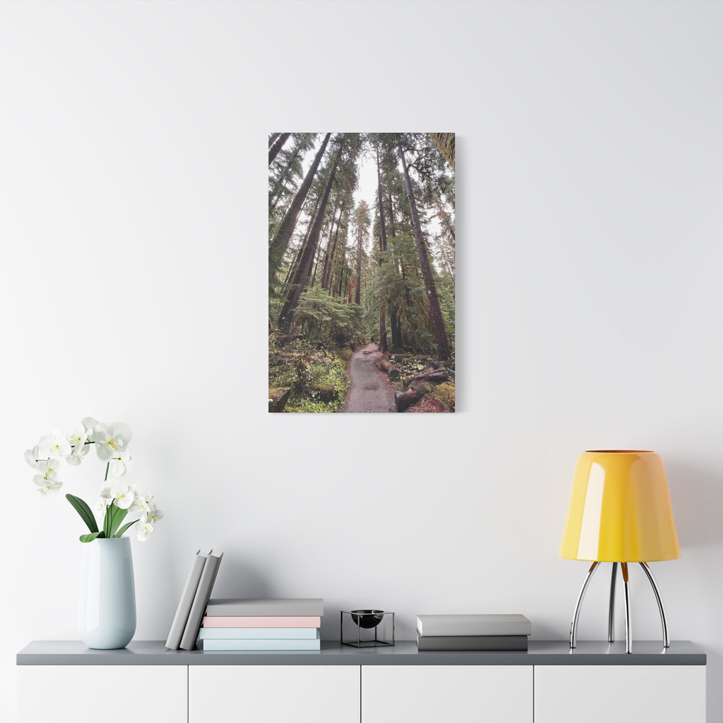 Sol Duc Forest | Wall Art